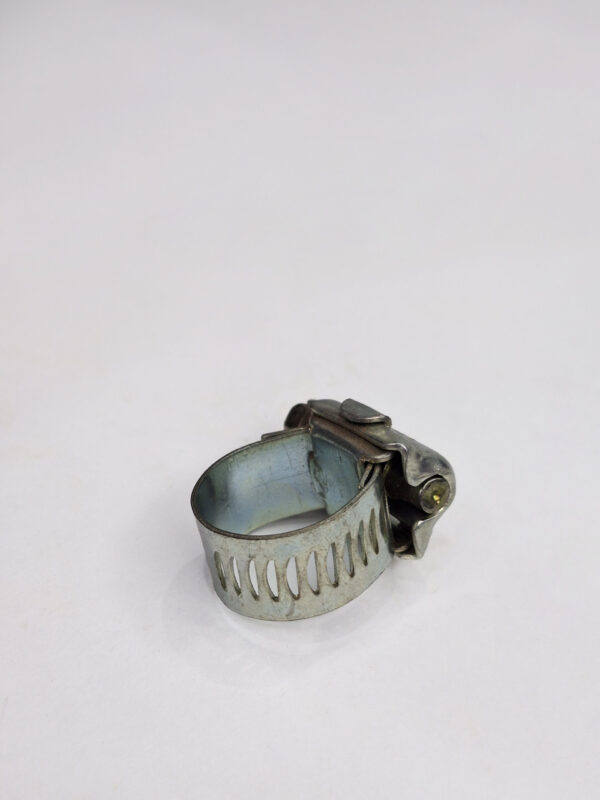 Dente ferro - Imagem 4