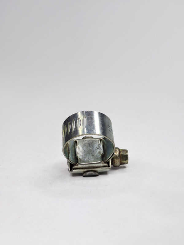 Dente ferro - Imagem 3