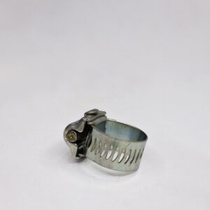 Dente ferro