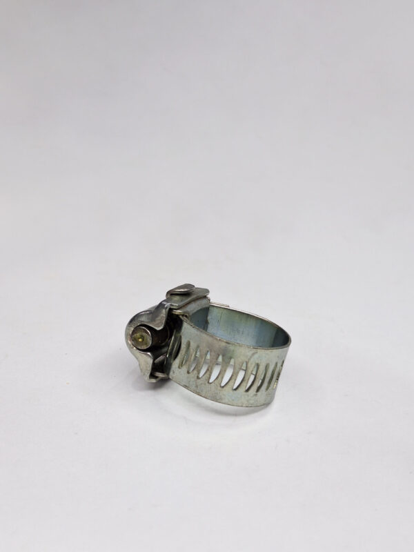 Dente ferro